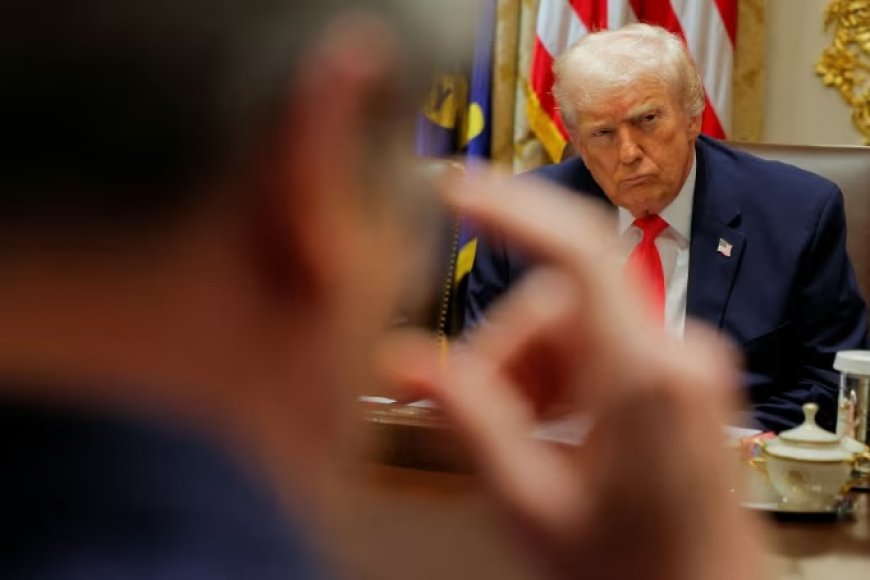 Fact check: Trump delivers long list of false claims at Cabinet meeting